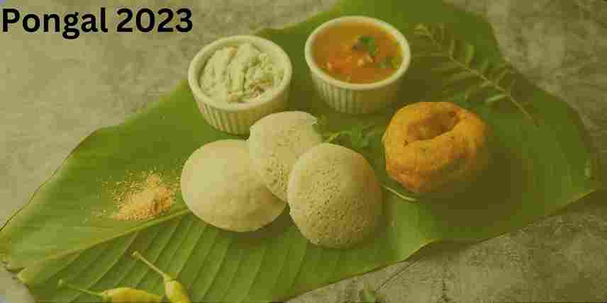 "A group of people celebrating Pongal, a four-day Hindu festival that is held in Tamil Nadu in southern India and is a time for people to come together, celebrate the harvest, and give thanks for the blessings of the sun.